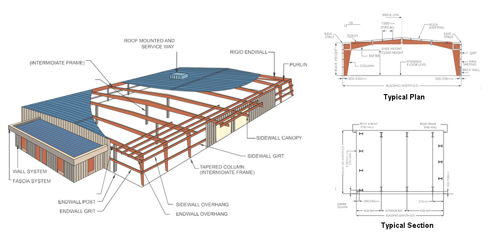 Roof Live Design