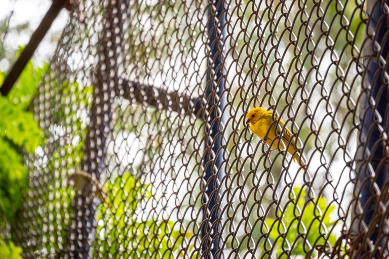 Security Perimeters and Fencing